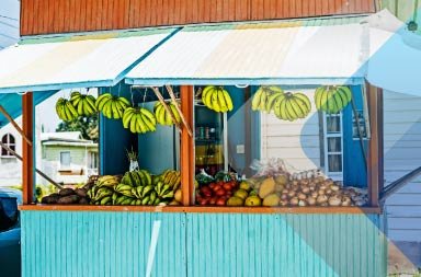 Fruta à venda num artigo sobre o empregador de registo em Barbados