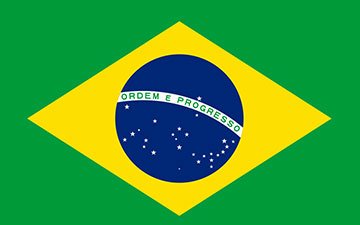 Descripción de la imagen